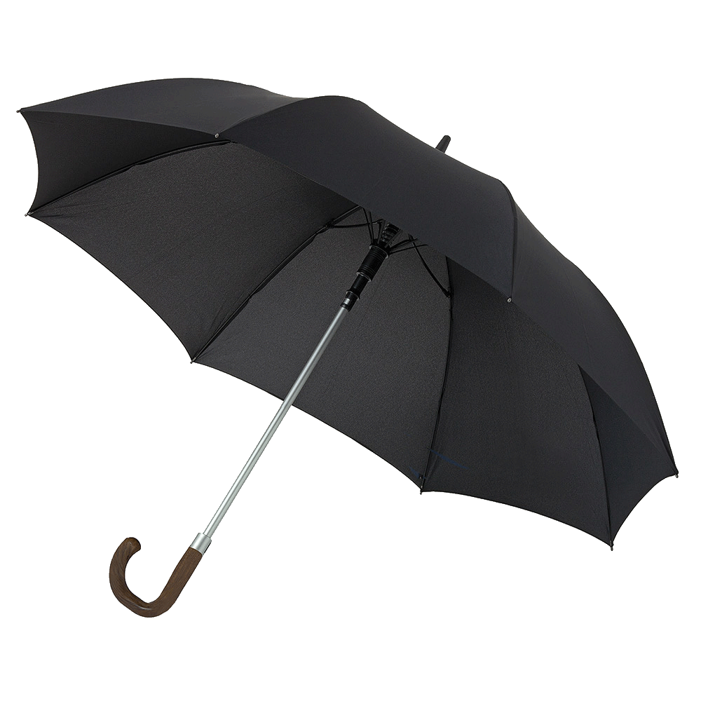 RegenschirmFENRIS42720GolfschirmPortierschirm-Automatikschwarz